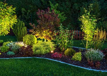 Landscape Lighting Services Springdale AR