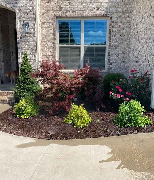 Landscaping Springdale AR