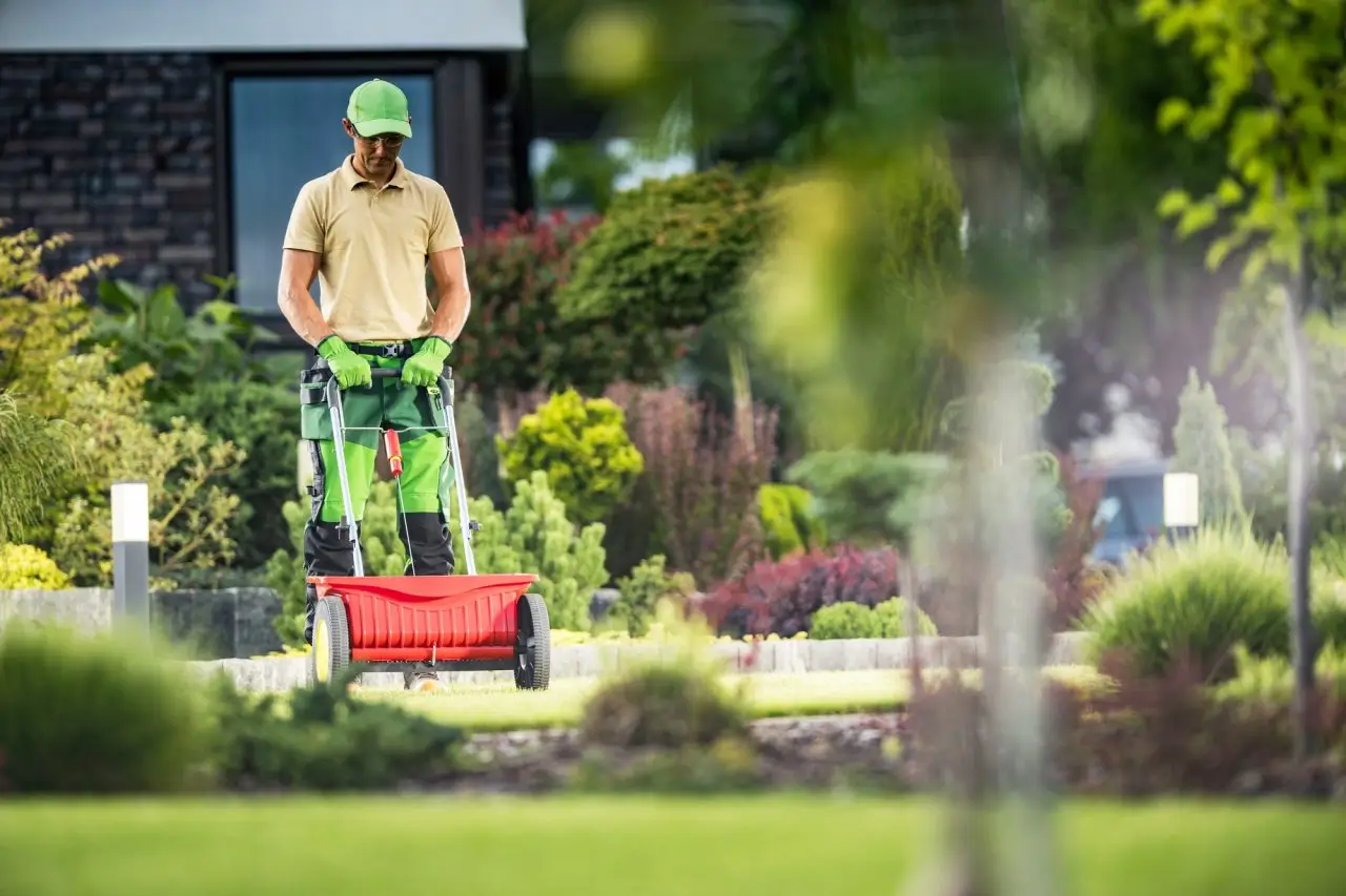 Vista Landscape Management,